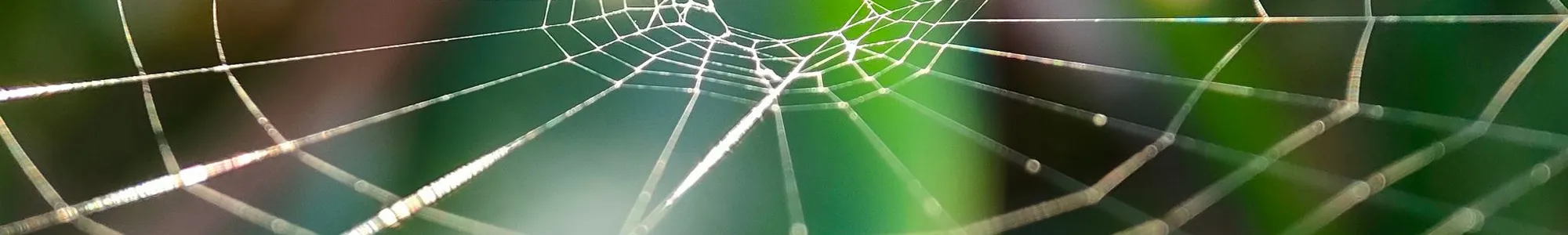 Immagine di copertina: Network Avanzato con MikroTik